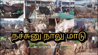 மேலூர்  21/12/24 மாட்டுச்சந்தை வாங்க பார்களாம்