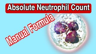 Absolute Neutrophil Count Formula|CBC test|Stream Laboratory |