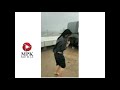 rashmika mandanna hot exposing rain dance mpk