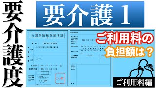 要介護1 利用料編 !!!ご利用料の負担額は？その他の注意点も !!!