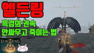 엘든링 짐승사제가 갑자기 덤벼든다?? 이 틈을 타서 흑검의 권속도 조지고 짐승사제도 교육 시켜주자!!