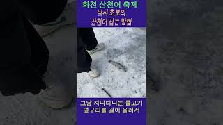 화천 산천어 축제 초보자도 잡는 법