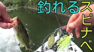 【千代田湖２days】Day1 スピナーベイトを本気喰い!!ｗｗ