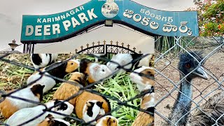 Karimnagar Deer Park// fun and joy 🤩