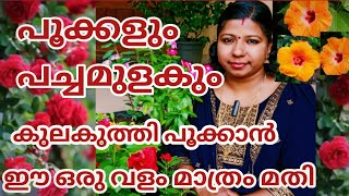 പൂക്കളും പച്ചമുളകും കുലകുത്തിപൂക്കാൻ ഈ ഒരുവളം മാത്രം മതി#bestfertilizerforfloweringplants#chilli#diy