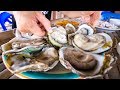The Oyster King of Thailand - UNCLE TOM’S HUGE OYSTERS and Seafood at Floating Restaurant! The Oyster King of Thailand - UNCLE TOM’S HUGE OYSTERS and Seafood at Floating Restaurant!