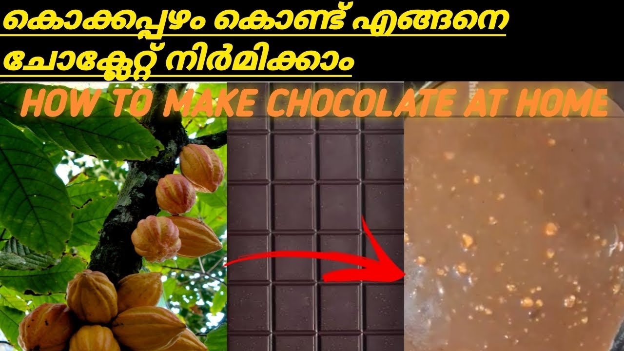 How To Make Chocolate At Home | Easy Method To Make Using Cocoa Fruit ...