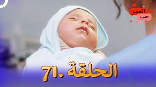 مسلسل هندي حب العمر الحلقة 71 (النهاية)