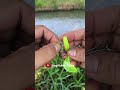 diy fishing tackle எப்படி தூண்டில் மீன்பிடித்தல் fishing fishingknot knottutorial diy அமைப்பது