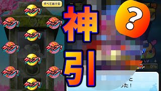 ぷにぷにこれは神引き!?無課金で貯めた暴走ガシャ『妖怪ウォッチぷにぷに』ZZランク暴走ノルカソルカYo-Kai Watchさとちんゲーム