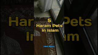 5 Haram Pets In Islam 💝🌹#islam #muslim #islamicvideo #wayofsuccess #mustwatch