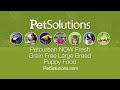 petsolutions petcurean now fresh grain free large breed puppy food