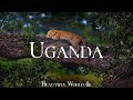 Uganda 4K Relaxation Film - Meditation Relaxing Music - Scenic Relaxation