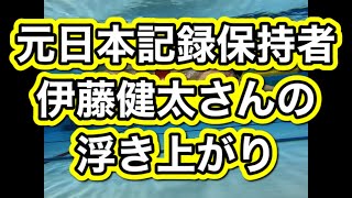 【水泳-浮き上がり】元日本記録保持者の伊藤健太さんの浮き上がり #Shorts