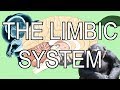 The Limbic System: Emotions and The Brain