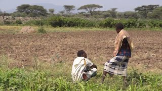 Floods, locusts and conflict: Ethiopia hit by several disasters