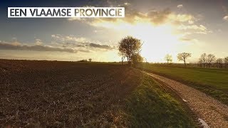 Een Vlaamse provincie