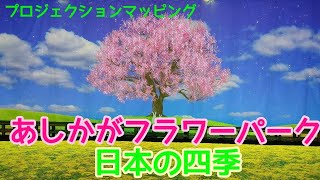 あしかがフラワーパーク　第二弾　日本の四季　プロジェクションマッピング