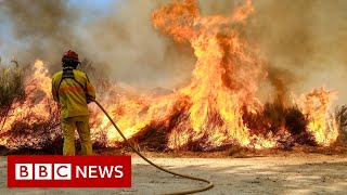 Is climate change to blame for extreme heat in Europe? - BBC News