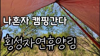 횡성자연휴양림에서 힐링캠핑 / 솔로캠핑 / 나혼자 캠핑간다