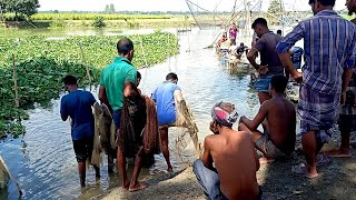 ঝাকি জাল দিয়ে এত মাছ ধরা যায় তা আমি আগে জানতাম না।