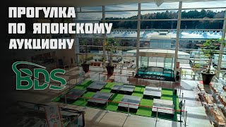 Прогулка по аукциону / Что едят в аукционной столовой / Забрали мотоциклы с аукциона