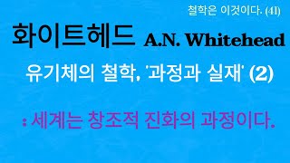 철학은이것이다41. 화이트헤드  A.N. Whitehead, 유기체의 철학과 '과정과 실재' (2) : 세계는 창조적 진화의 과정이다.