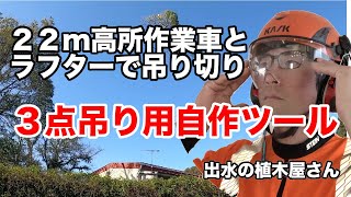 特殊伐採・剪定　大木の吊り切り強剪定 三点吊り具 クレーン車と高所作業車での作業