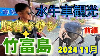 🐂最新‼️ 2024年11月 沖縄県竹富島の水牛車観光を体験・紹介🐂前編