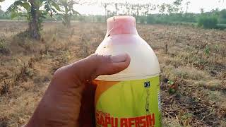 OBAT RUMPUT ROUNDUP vs SAPU BERSIH