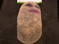 I'm a potato MEME #potato #memes #funny