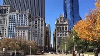 Landmarks Illinois: People Saving Places (2016)