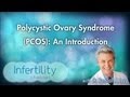 Polycystic Ovary Syndrome (PCOS): An Introduction