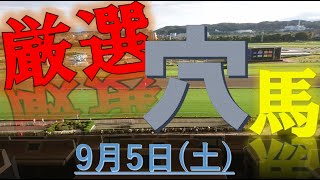 【厳選穴馬】9月5日（土）中央競馬より厳選4頭【夏競馬】＃競馬＃競馬予想＃keiba