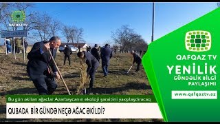 QUBADA  BİR GÜNDƏ NEÇƏ AĞAC ƏKİLDİ?