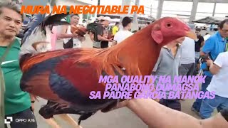 PADRE GARCIA BATANGAS, Dagsa ang murang manok panabong.quality na mga negotiable pa.