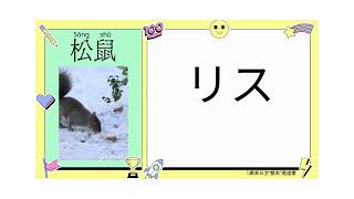 日文動物單詞篇