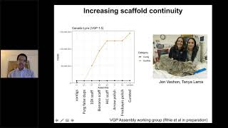 The Vertebrate Genomes Project: Sequencing life for a new biology