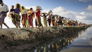 রোহিঙ্গারা নিজ দেশে ফিরে যেতে নিরাপদ বোধ করছে না