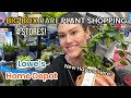 NEW HOYA CUMINGIANA At Lowe’s! Big Box Plant Shopping & Indoor Plant Haul Home Depot & Lowes  Plants