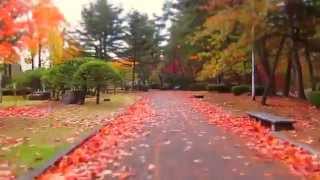 盛岡城跡公園・岩手公園の紅葉（タイムラプス） 2015 / 岩手県盛岡市