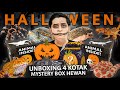 UNBOXING 4 MYSTERY BOX HEWAN SEKALIGUS EDISI HALLOWEEN! JACKPOT PARAH!