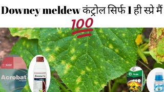 Downey meldew controlling fungicide | Downey meldew treatment