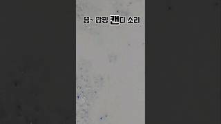 다이소 발포한다. 청소용품 3종세트 솔직후기 #리뷰shorts