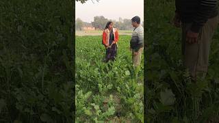 यहां से चले जाओ #Pooja bhauji#shorts #shortsvideo