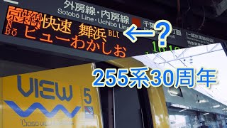 【ビューわかしお復活!】255系30周年記念第2弾 特急ビューわかしお号 蘇我駅