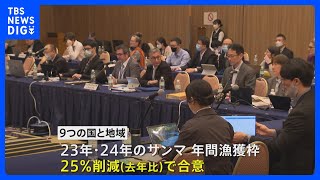 深刻な不漁が続くサンマ漁獲枠25%削減で合意 資源管理をめぐる国際会議で｜TBS NEWS DIG