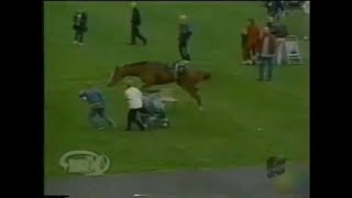 Horse Racing Accident Of Formidable Flame