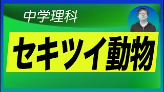 中1理科(10)動物のなかま第１章〜セキツイ動物〜【中1生物】