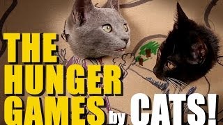 CATS remake HUNGER GAMES with Cardboard!